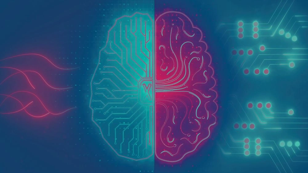 split14 green and pink brain graphic